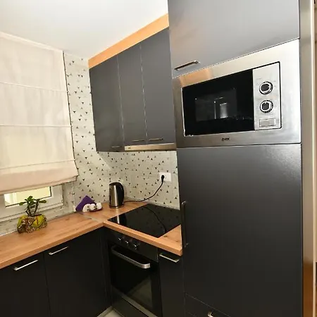 Grand Lux 公寓 Čačak